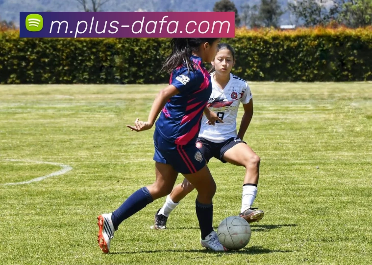 大发彩票平台生态图