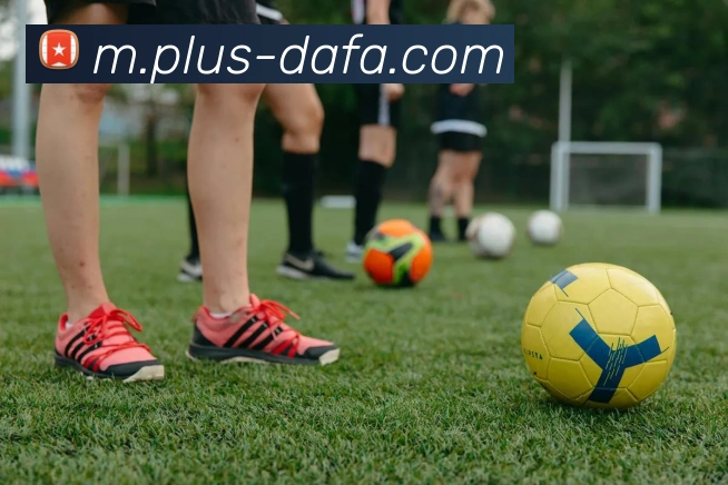 大发彩票APP 封面图